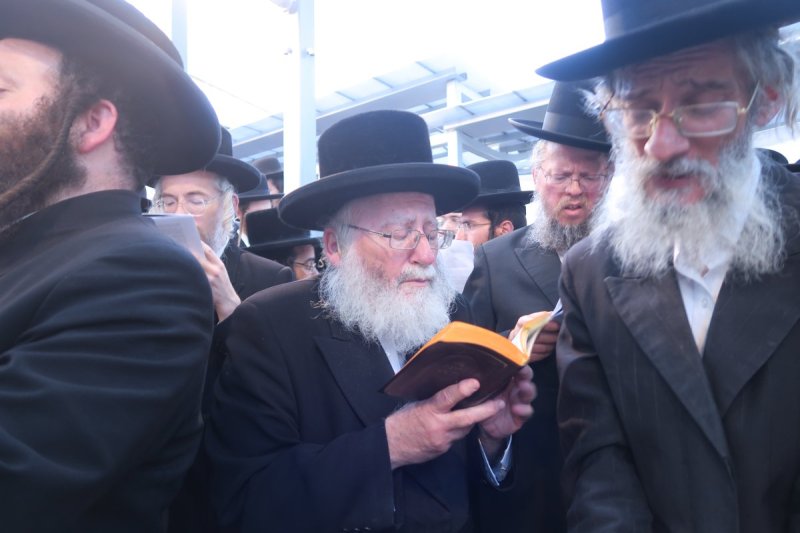 מ. אדלר