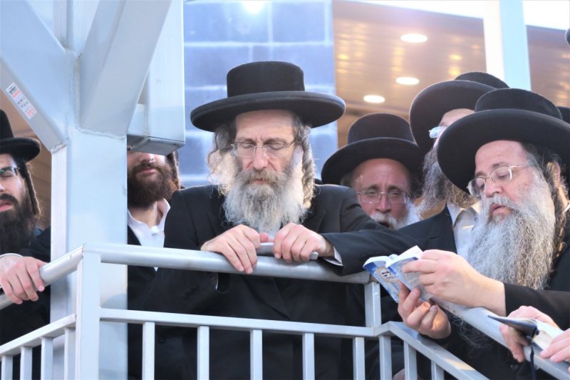 מ. אדלר