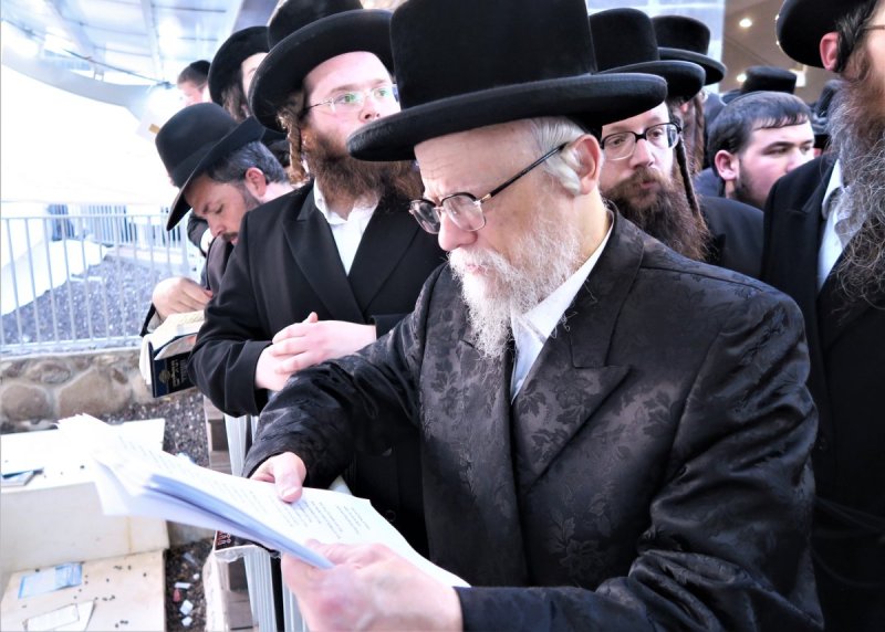 מ. אדלר
