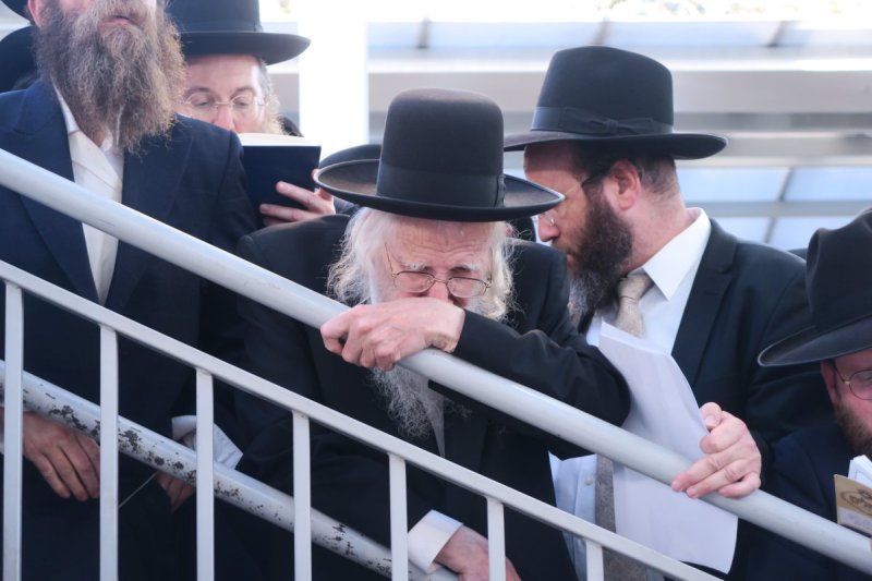 מ. אדלר