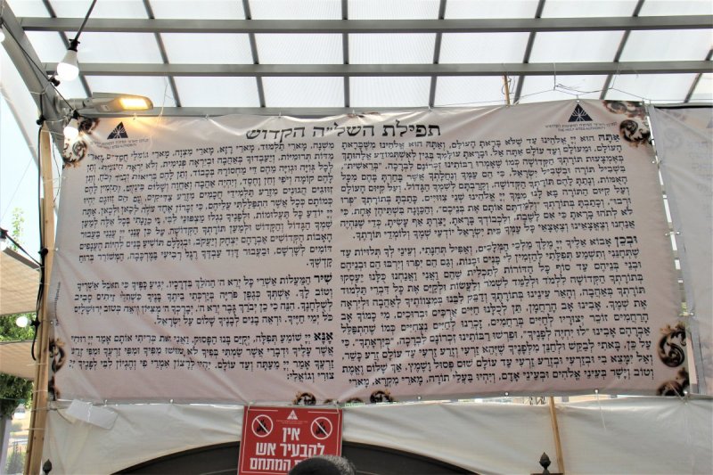 מ. אדלר