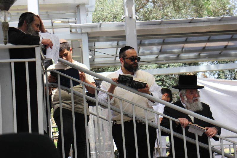 מ. אדלר
