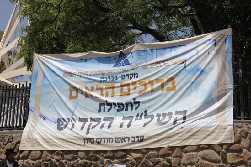 מ. אדלר