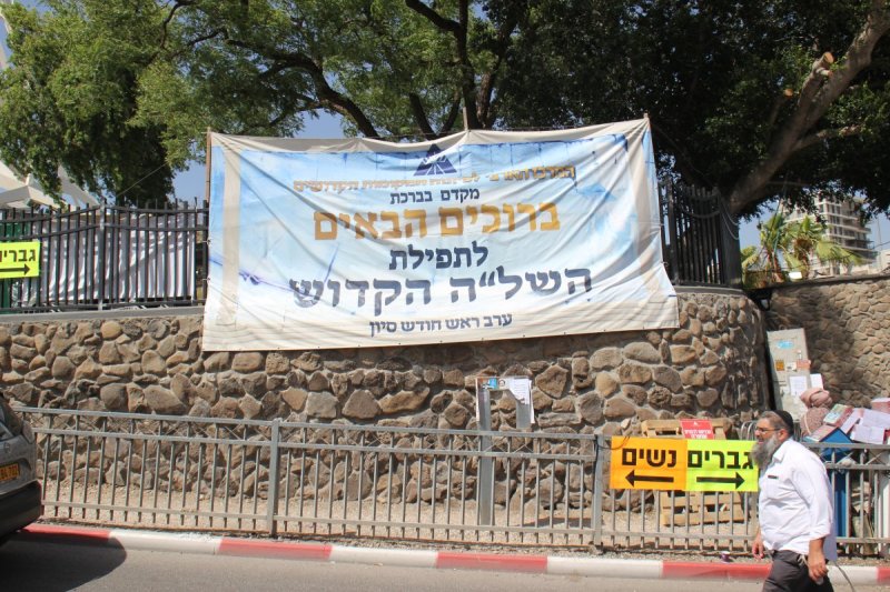 מ. אדלר
