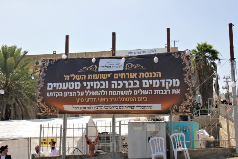 מ. אדלר