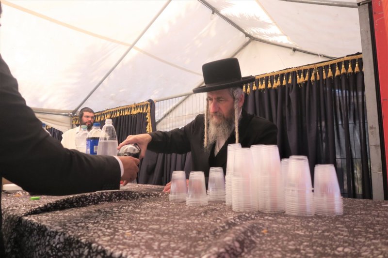 מ. אדלר