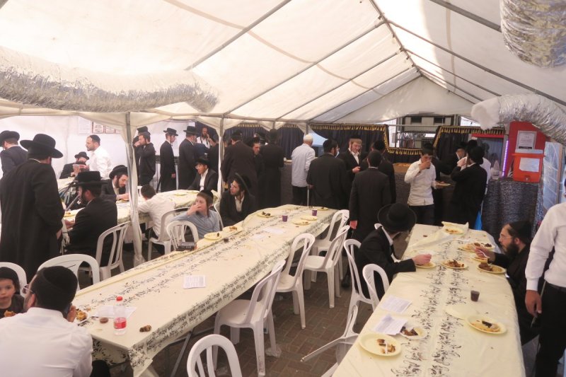 מ. אדלר
