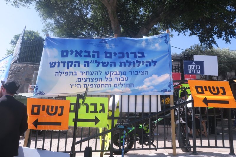 מ. אדלר