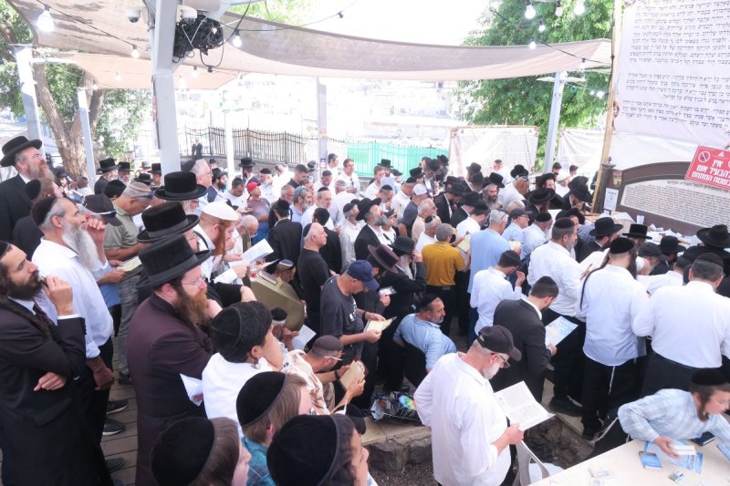 מ. אדלר