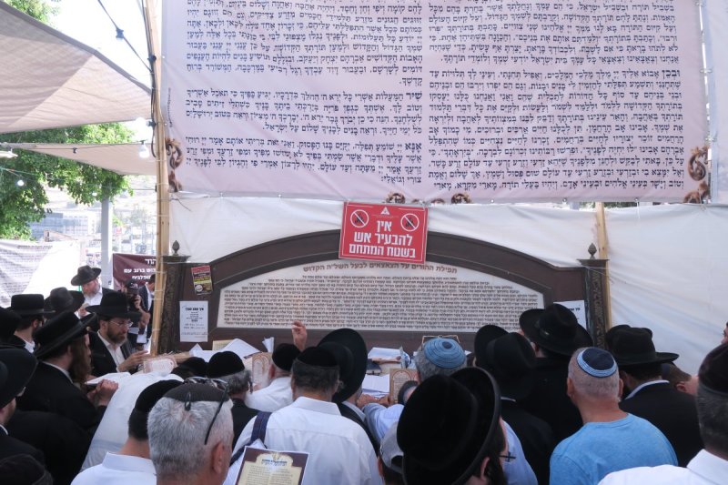 מ. אדלר