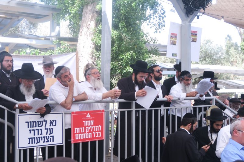 מ. אדלר