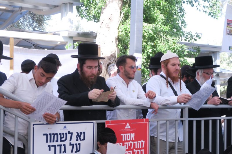 מ. אדלר