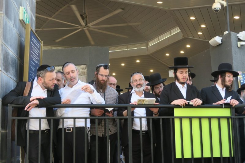 מ. אדלר