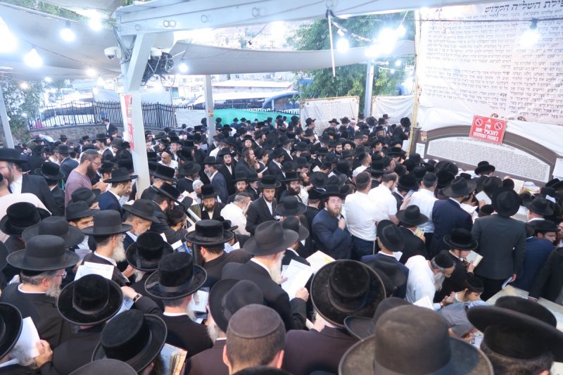 מ. אדלר