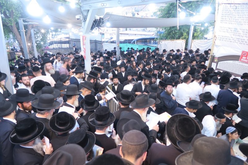 מ. אדלר