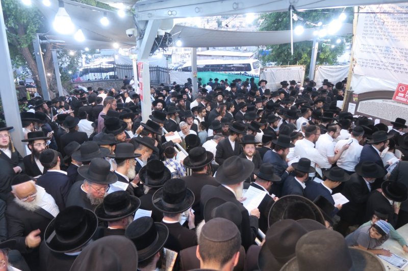 מ. אדלר