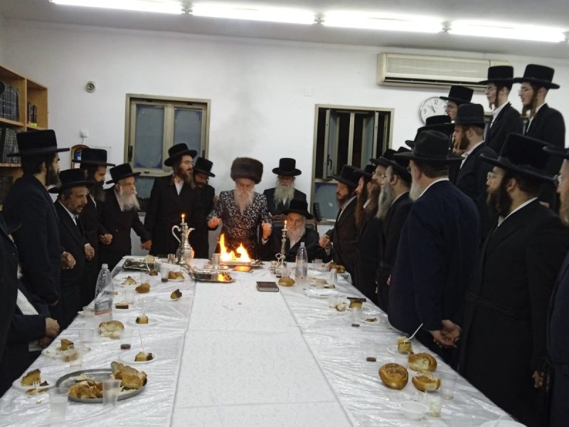 מאיר פרידמן