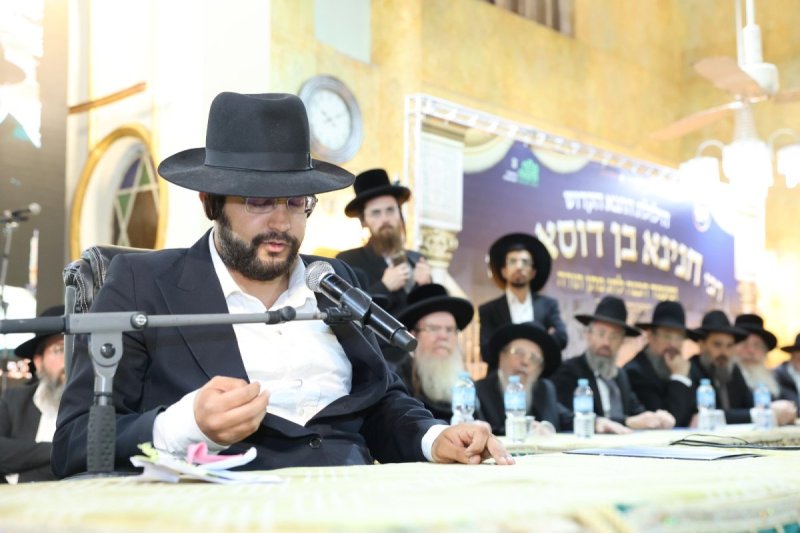 קובי הר צבי