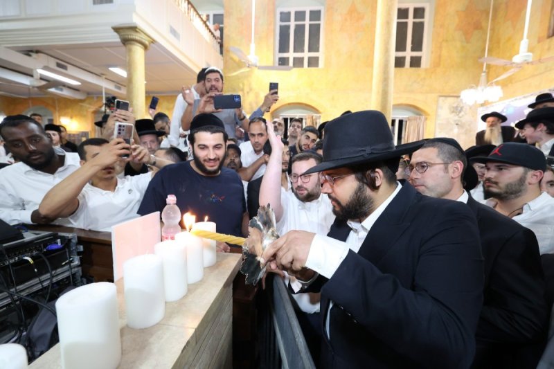 קובי הר צבי