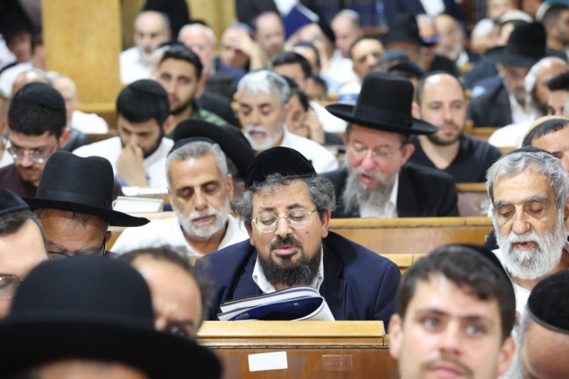 קובי הר צבי