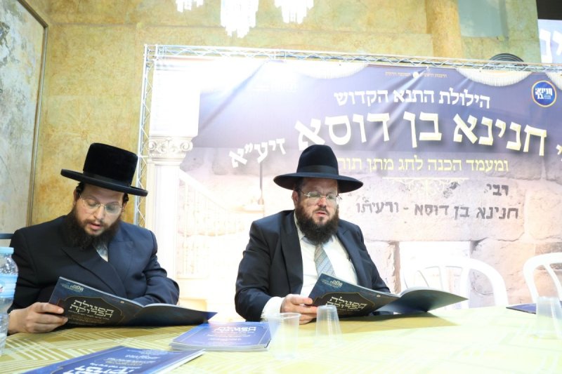 קובי הר צבי