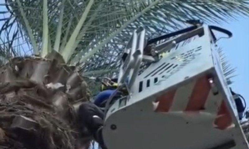 נתקע בגובה 12 מטר: טיפס לחתוך סכך וחולץ באמצעות מנוף 