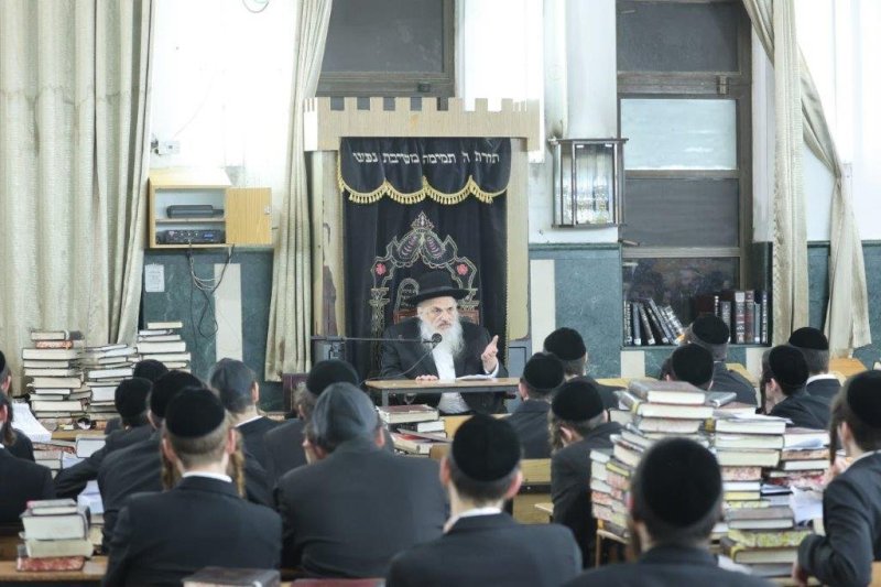 שלומי טריכטר