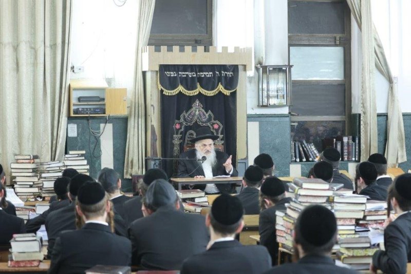 שלומי טריכטר