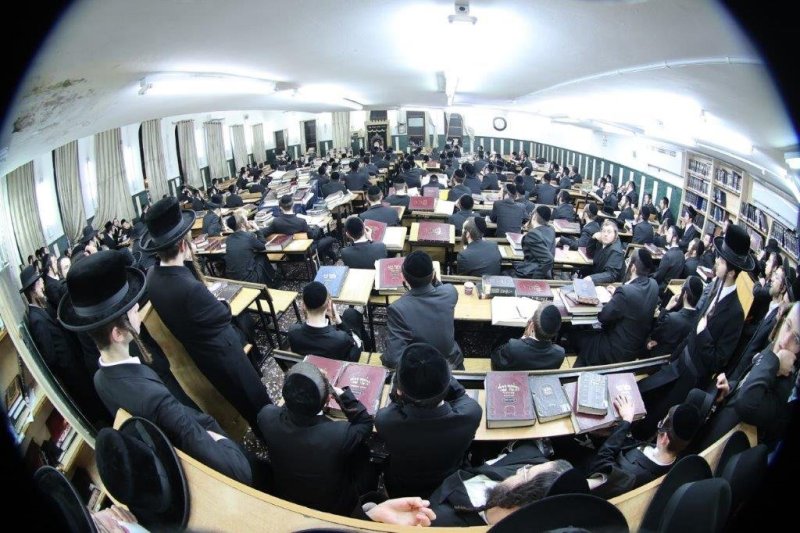 שלומי טריכטר