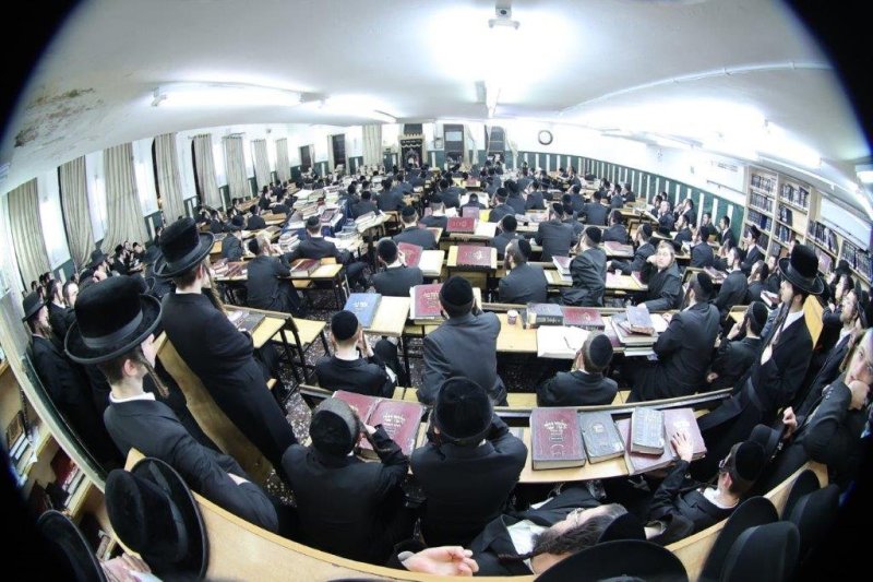 שלומי טריכטר