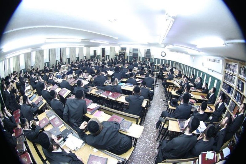 שלומי טריכטר