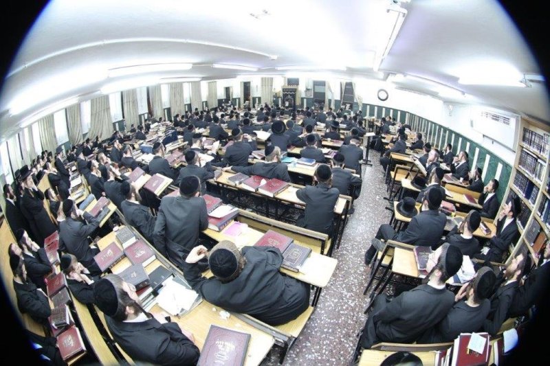 שלומי טריכטר