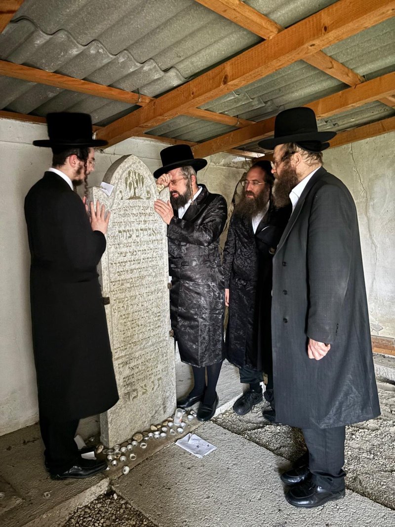 אריה רוטנברג.