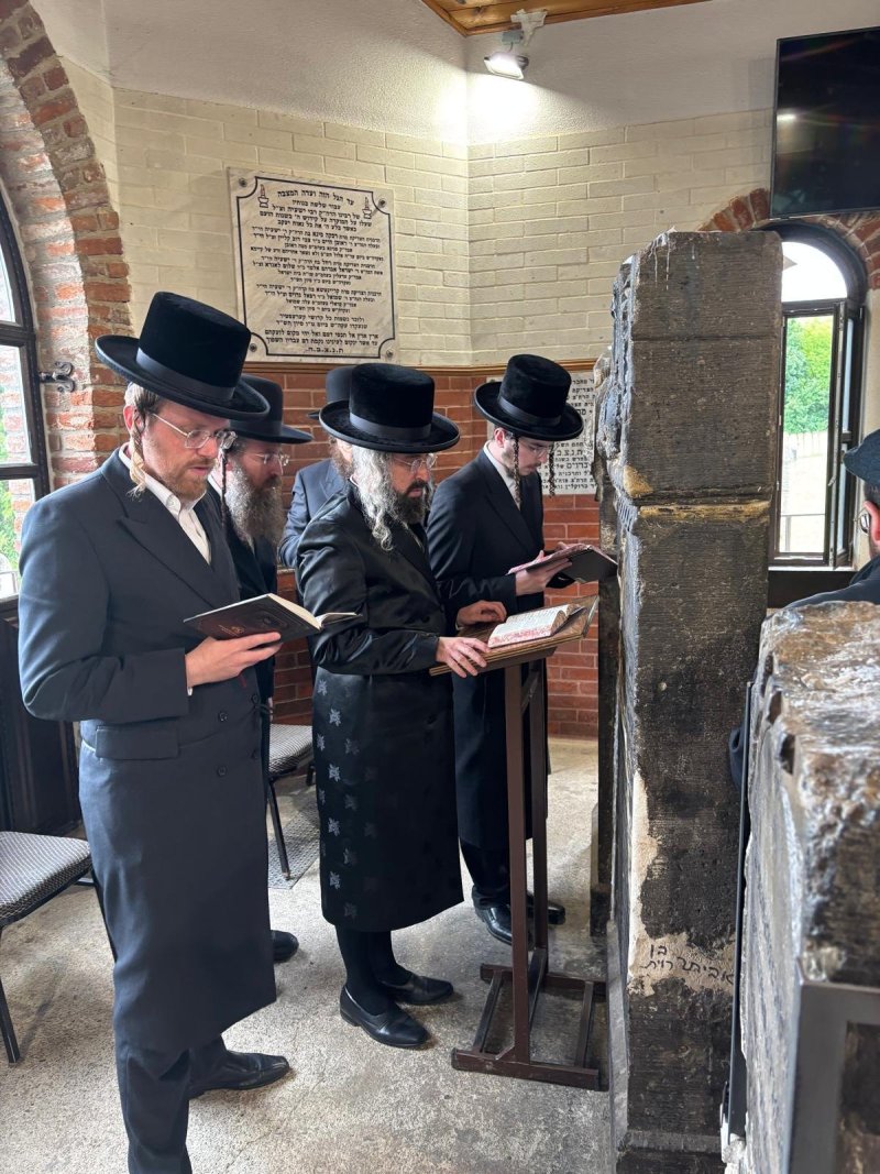 אריה רוטנברג.