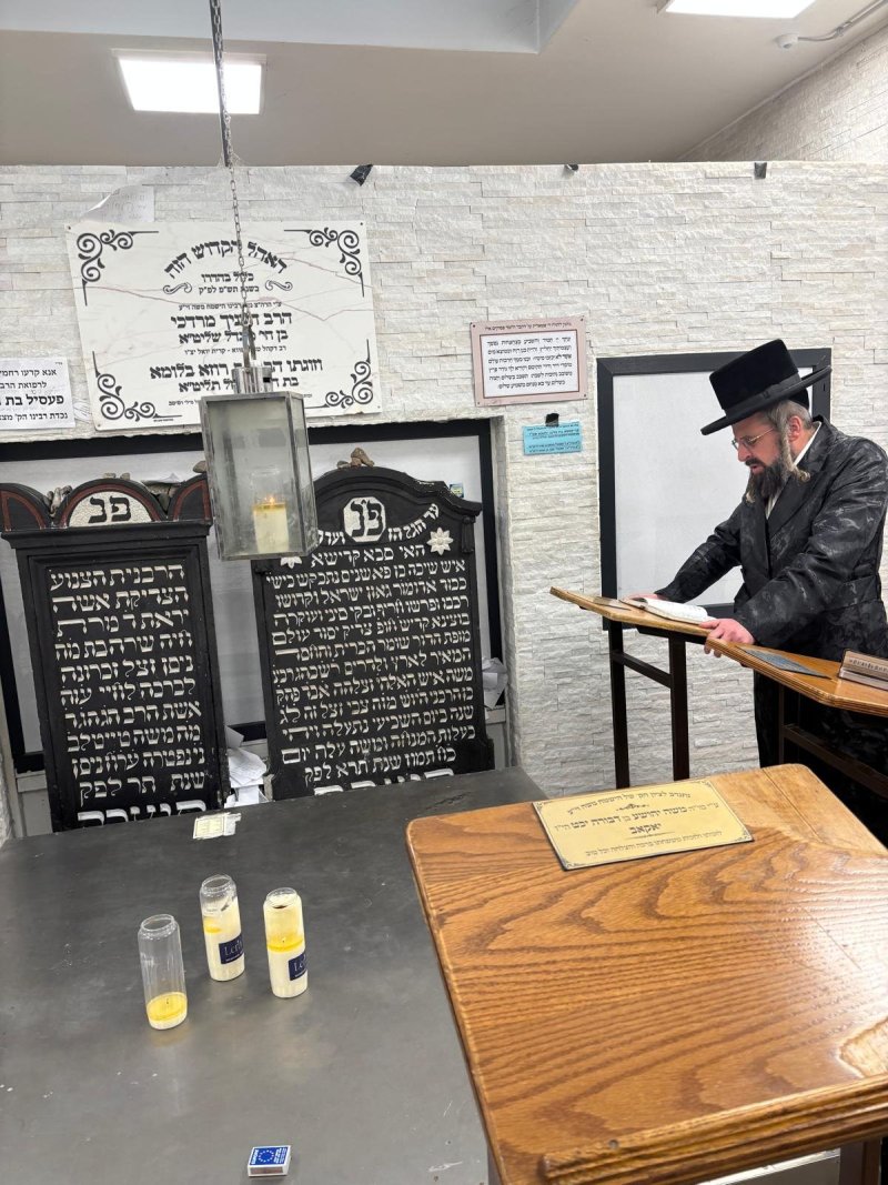 אריה רוטנברג.