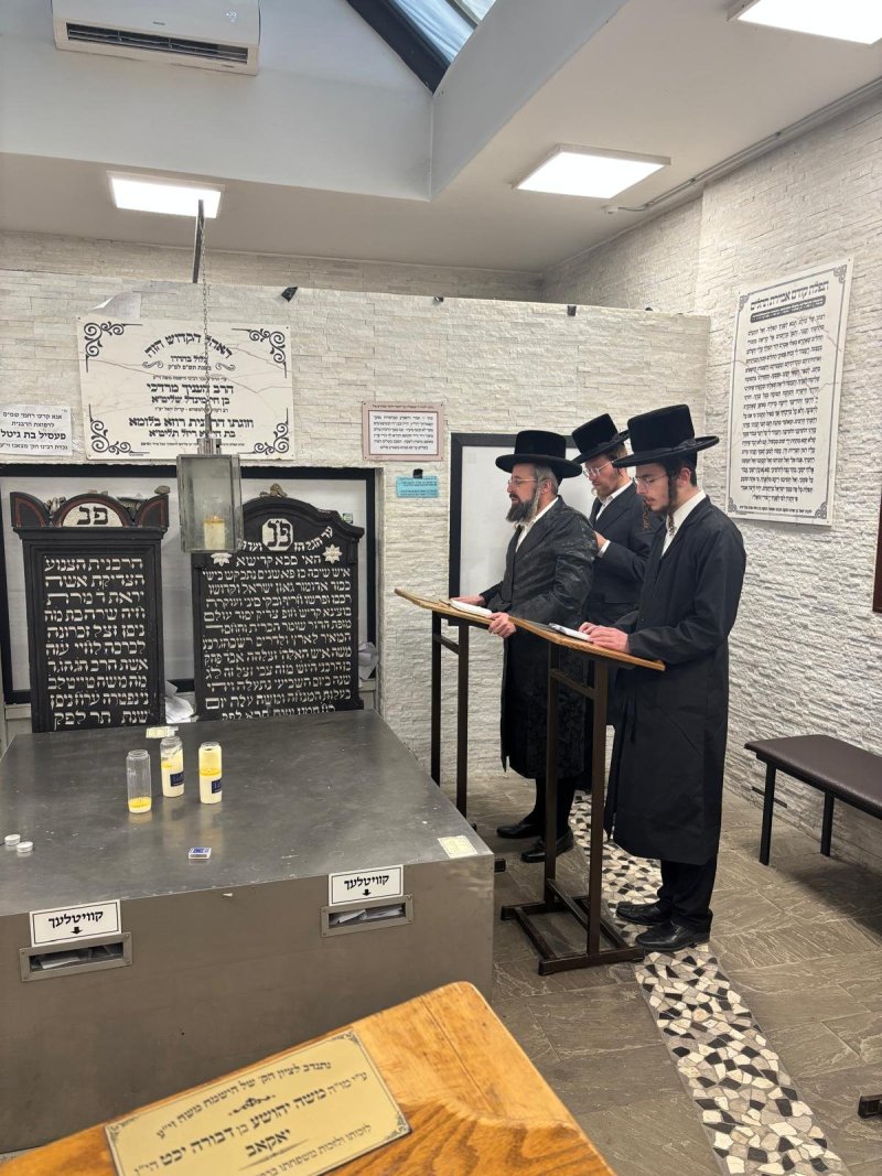 אריה רוטנברג.