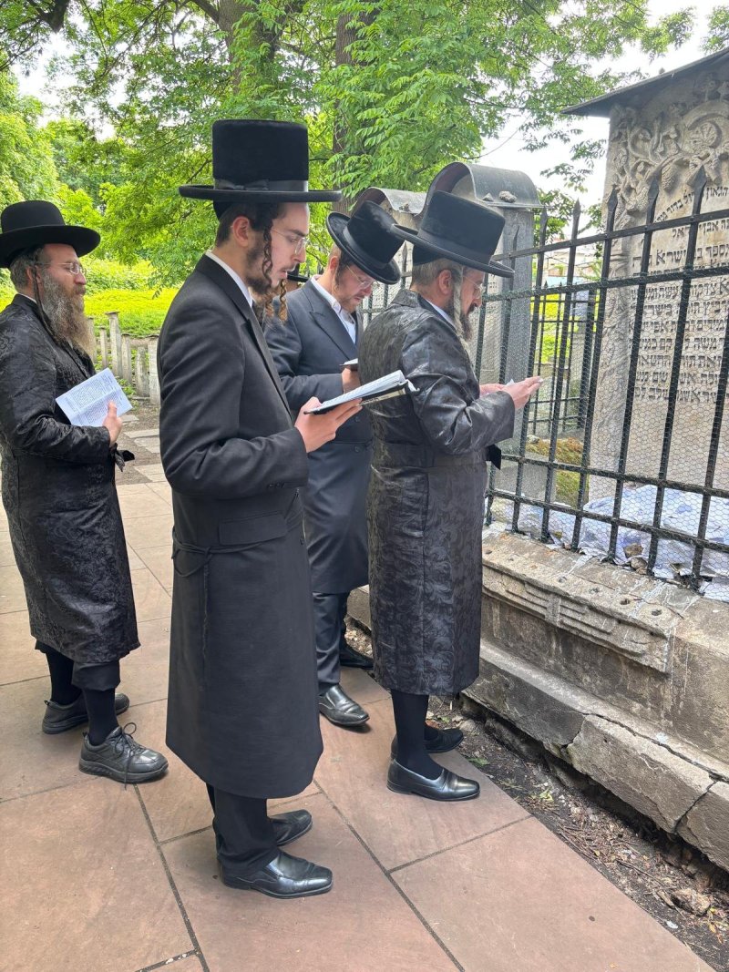 אריה רוטנברג.