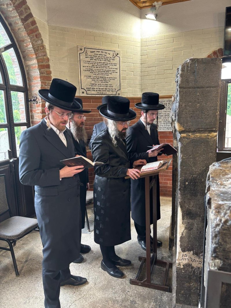 אריה רוטנברג.