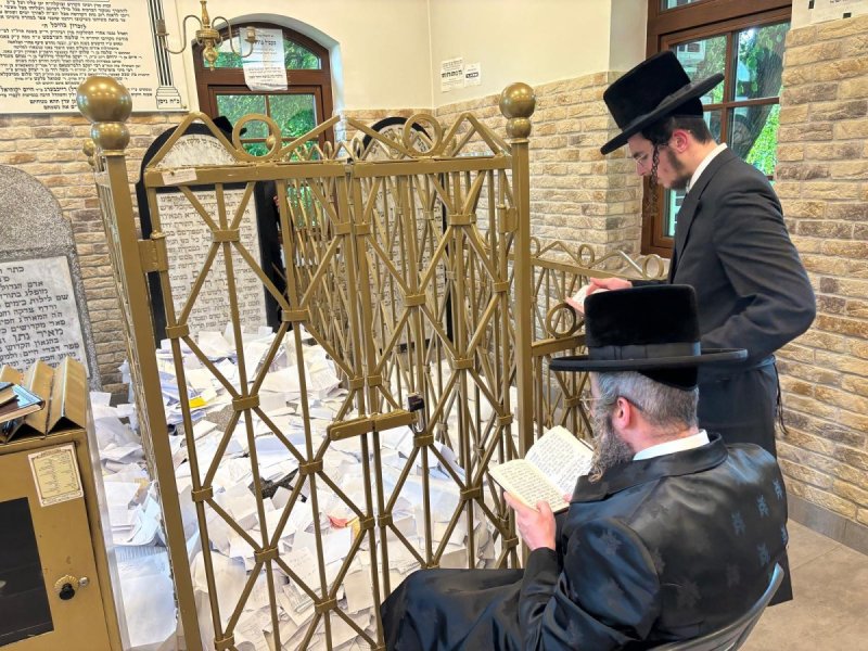 אריה רוטנברג.