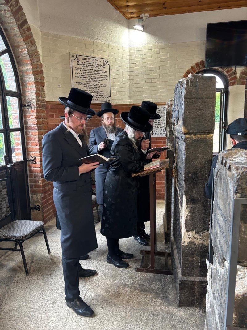 אריה רוטנברג.