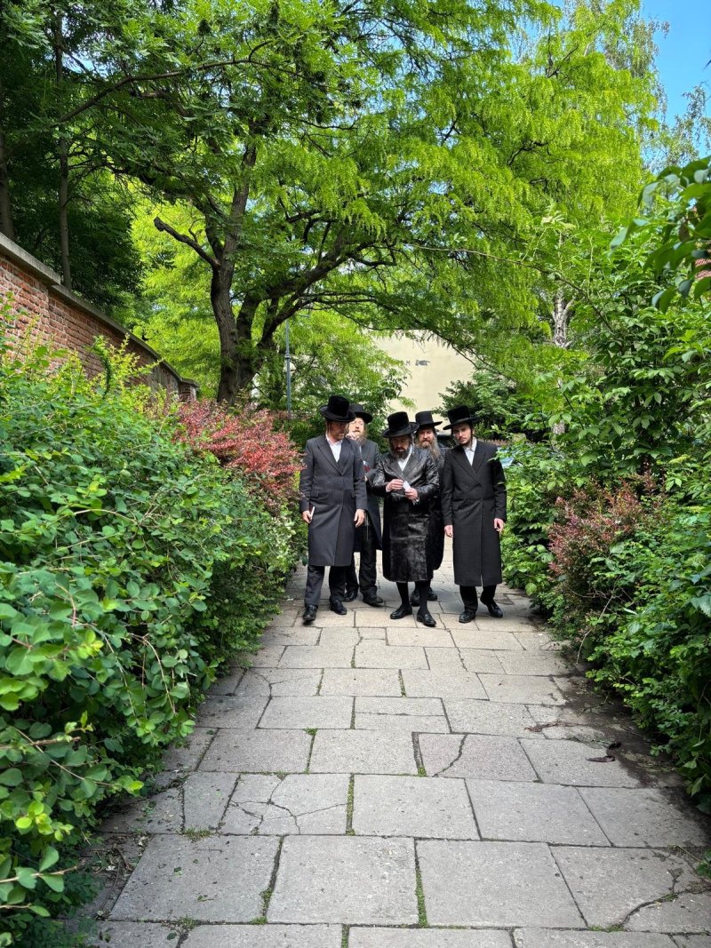 אריה רוטנברג.