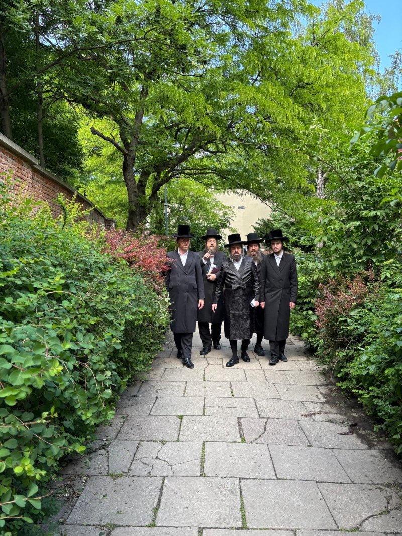 אריה רוטנברג.