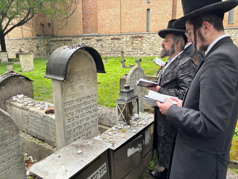 אריה רוטנברג.