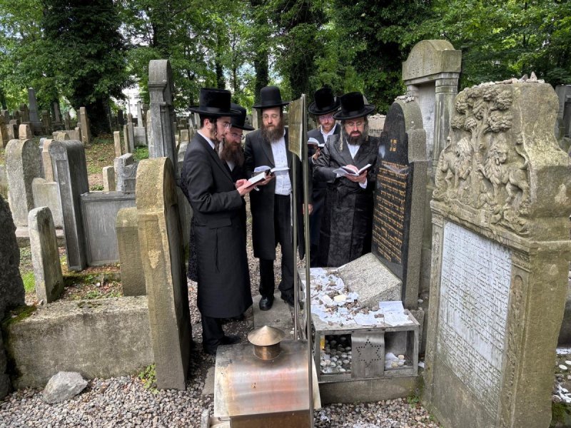 אריה רוטנברג.