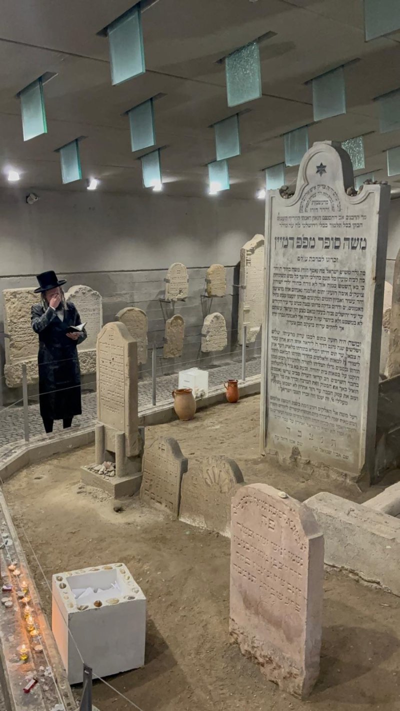 אריה רוטנברג.