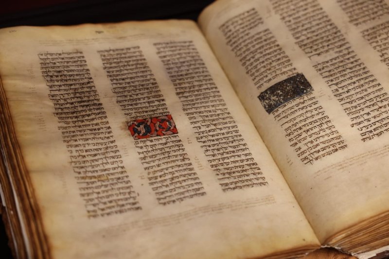 אריאל בראון