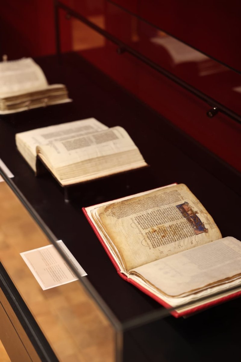 אריאל בראון