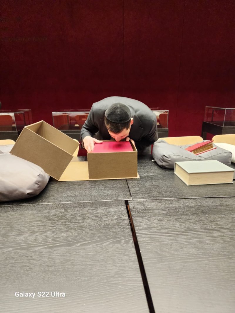 אריאל בראון