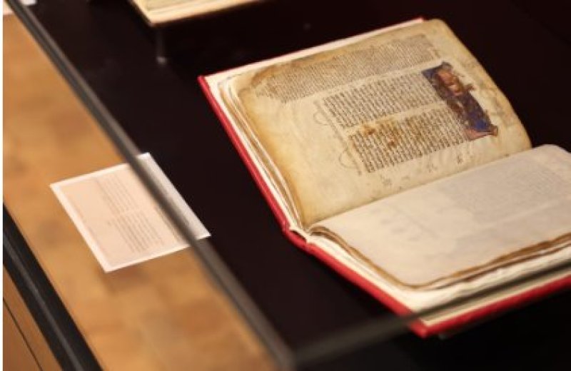 אריאל בראון