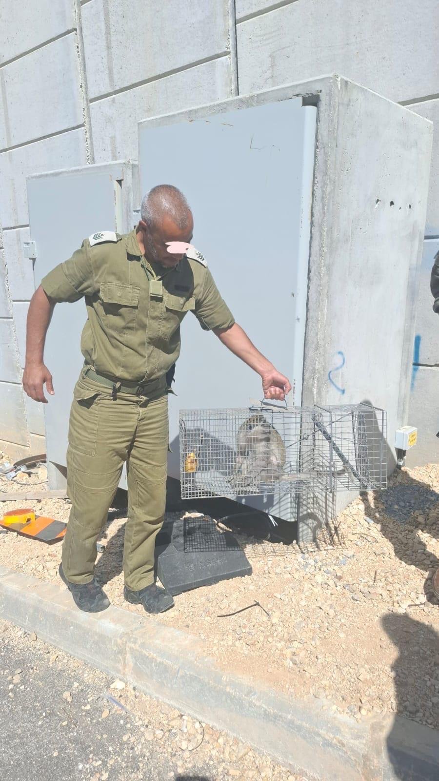 גשש בכיר חטיבת מנשה רנ"ג ד. והחייל סמ"ל חסן הייב